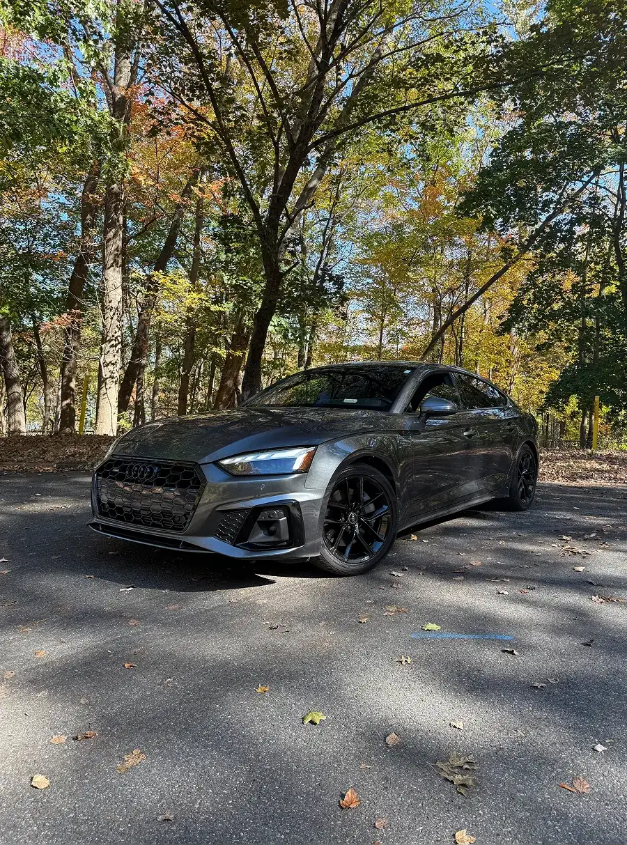 Gray Audi sedan parked on a forest road with autumn trees in the background.