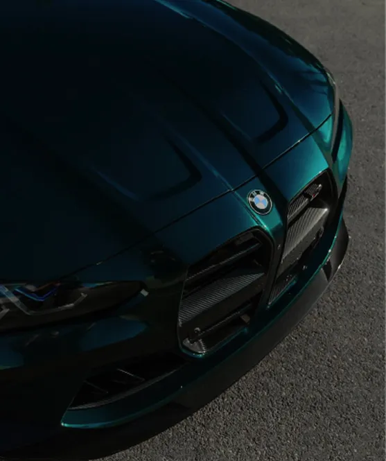 Close-up of a dark green BMW car front grille and emblem on grey pavement.